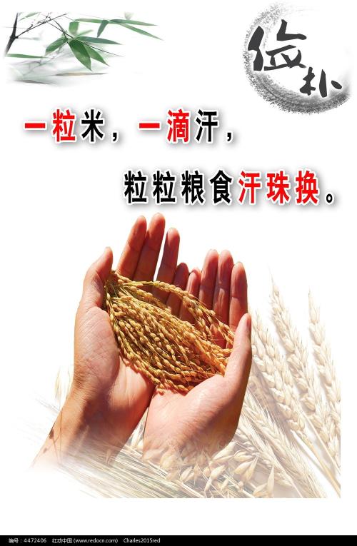 依马库雷塔大学学生卡
